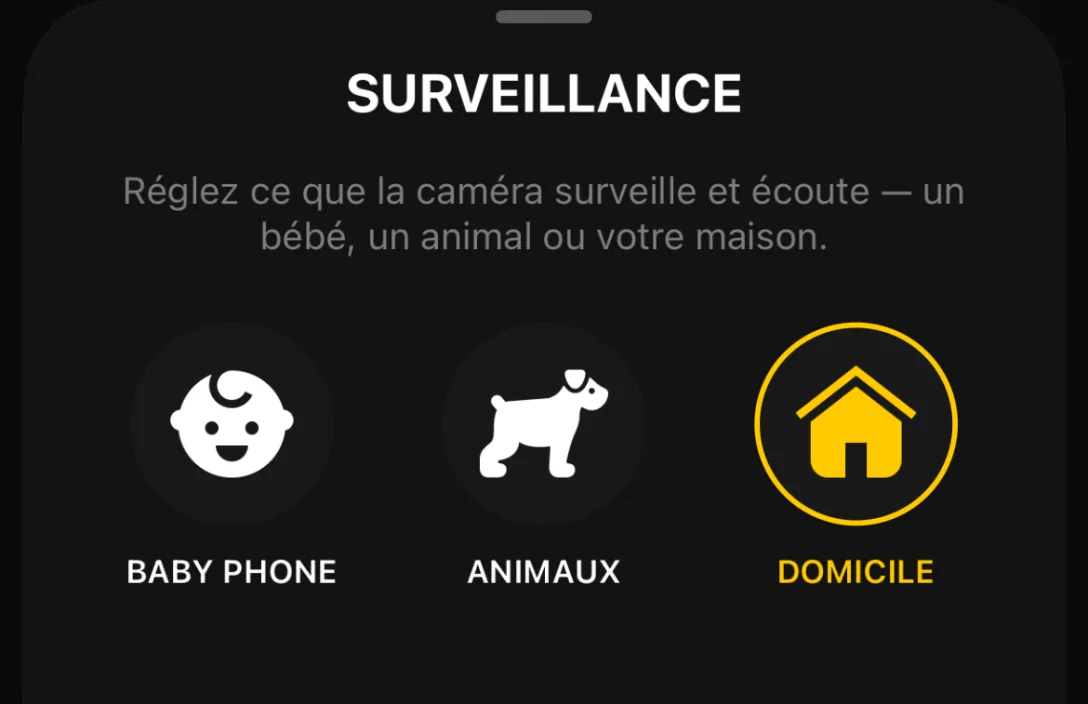 Surveillance : Baby phone, Animaux, Domicile