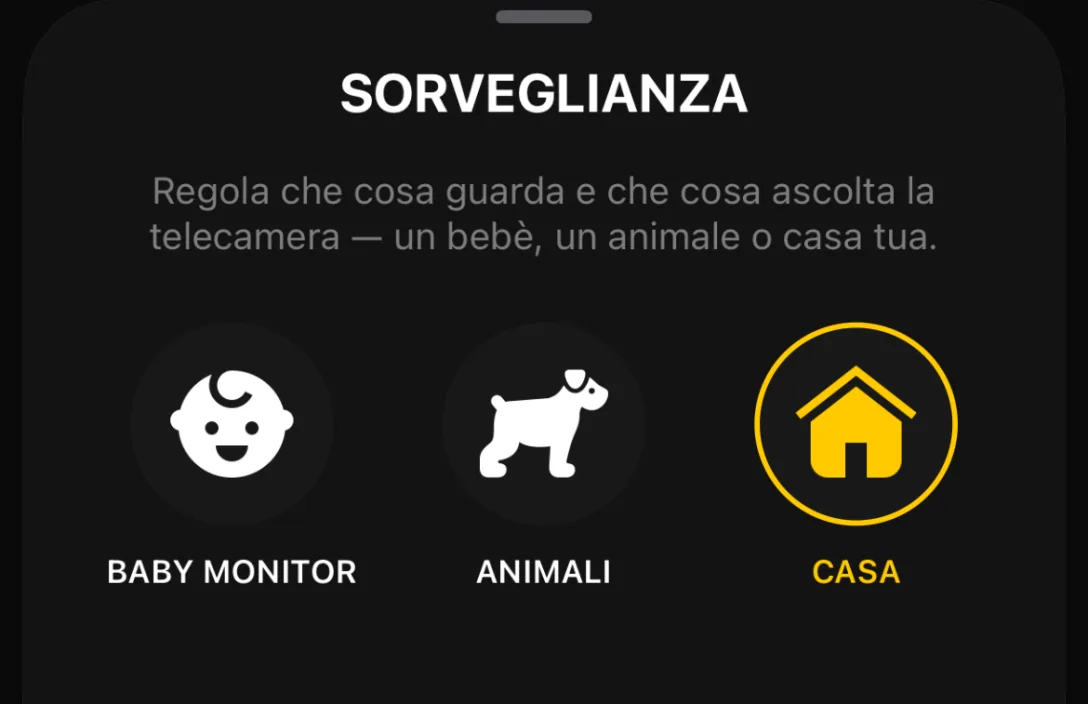 Sorveglianza: Baby monitor, Animali, Casa