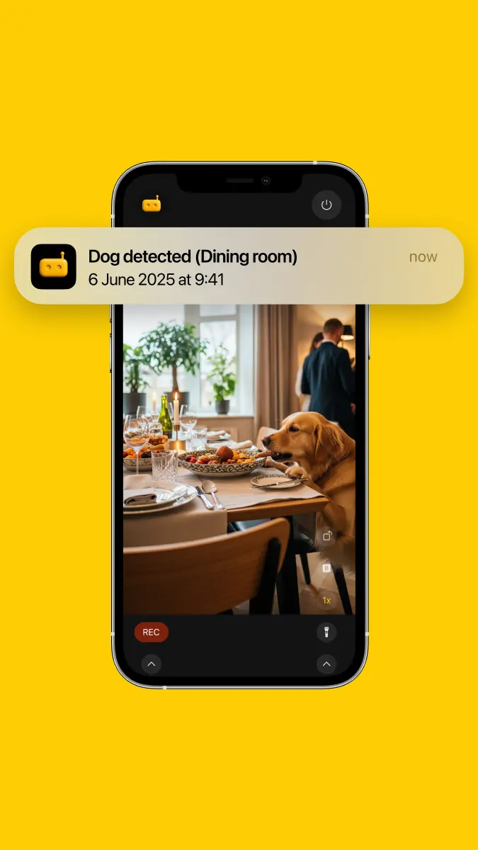 RECAM smart notifications explained